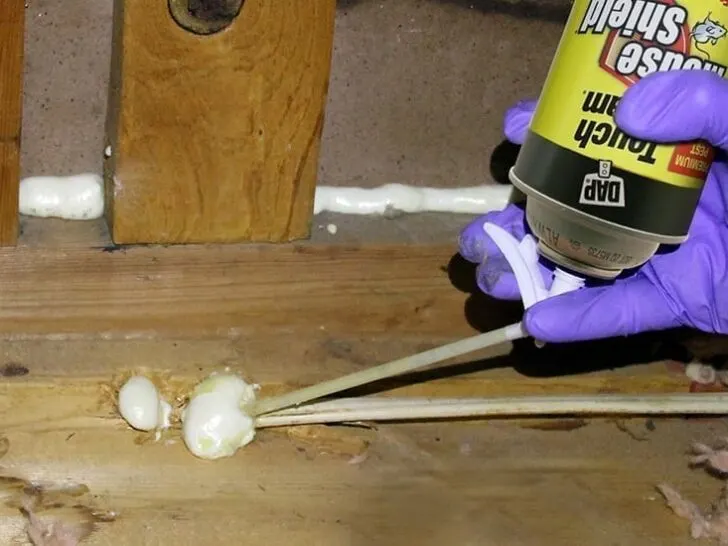Sealing all holes and openings can keep mice out of your RV