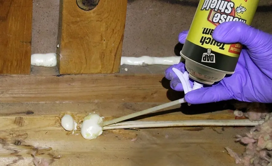 Sealing all holes and openings can keep mice out of your RV