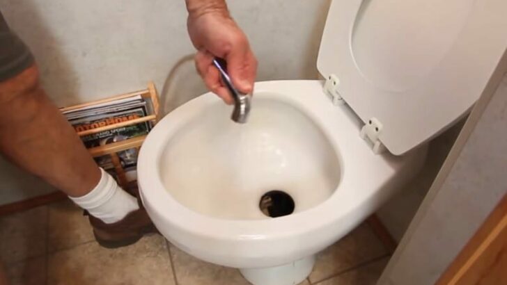 There are many ways to keep your toilet clean and working well.