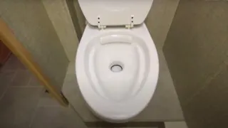 Gravity flush RV toilet