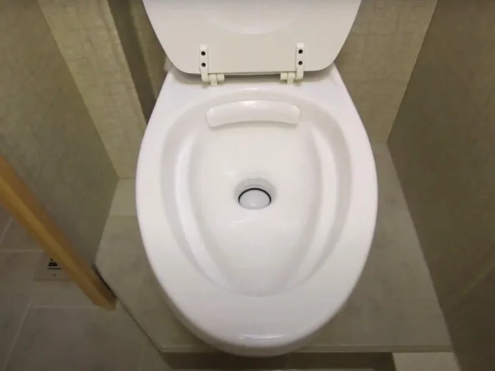 Looking into the bowl of a gravity flush RV toilet