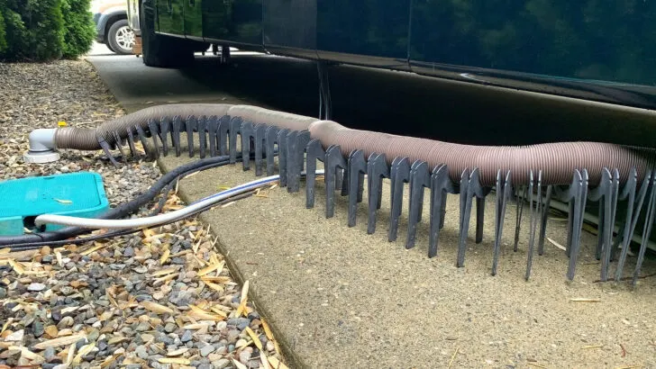 Photo of a typical 3" RV sewer hose connected to sewer line