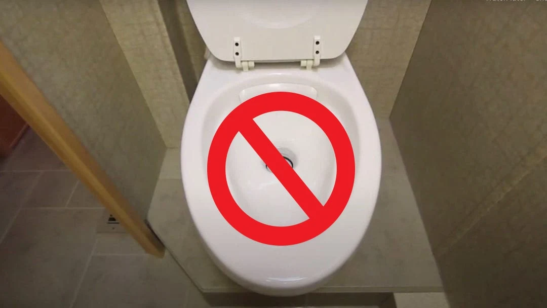 Don't put anything except toilet paper into an RV toilet