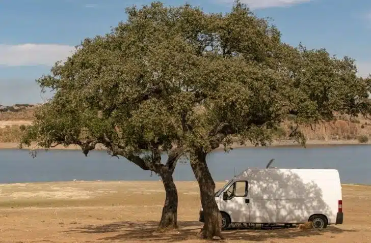 Portable solar panels for RVs allow the rig to be parked in the shade.