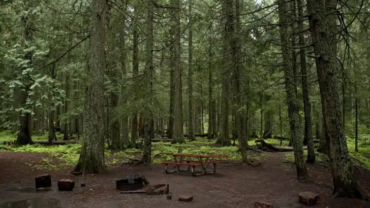 Campground that isn't easily accessible for larger RVs.