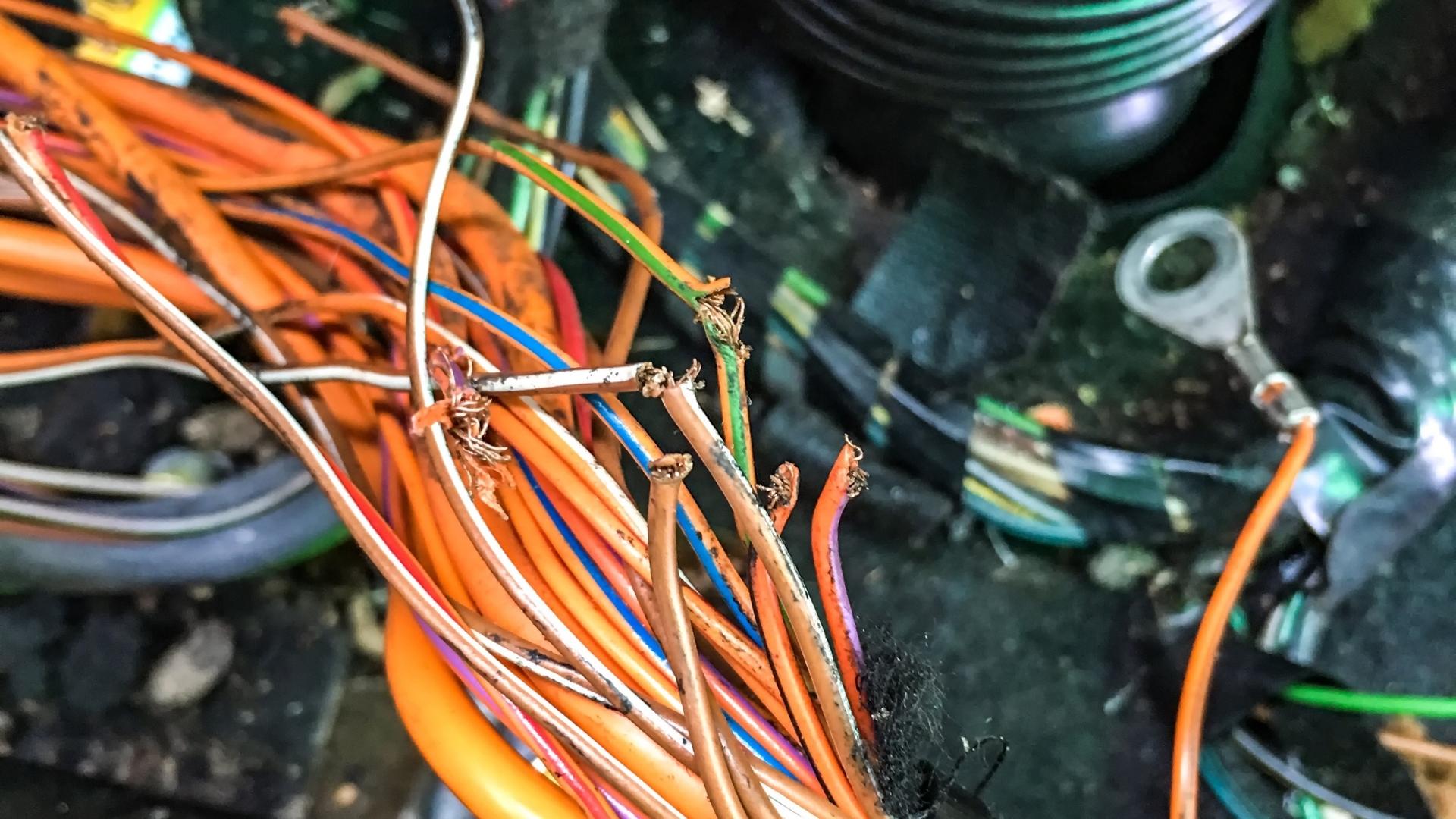 Rodent damage to chassis wiring