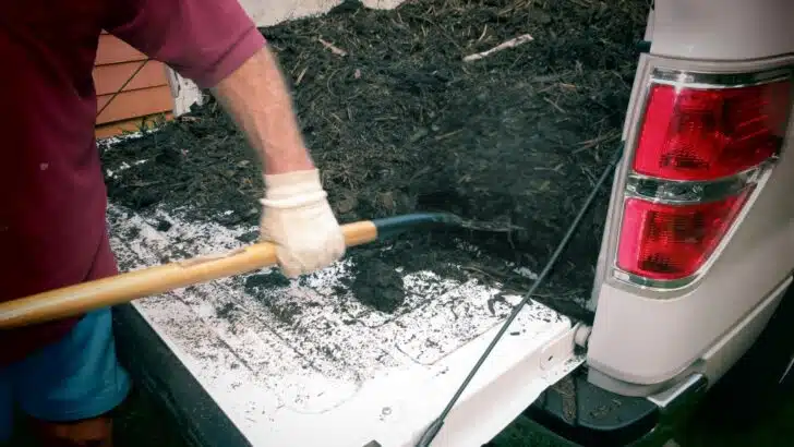 Photo of a pickup truck bed filled with gardening mulch.
