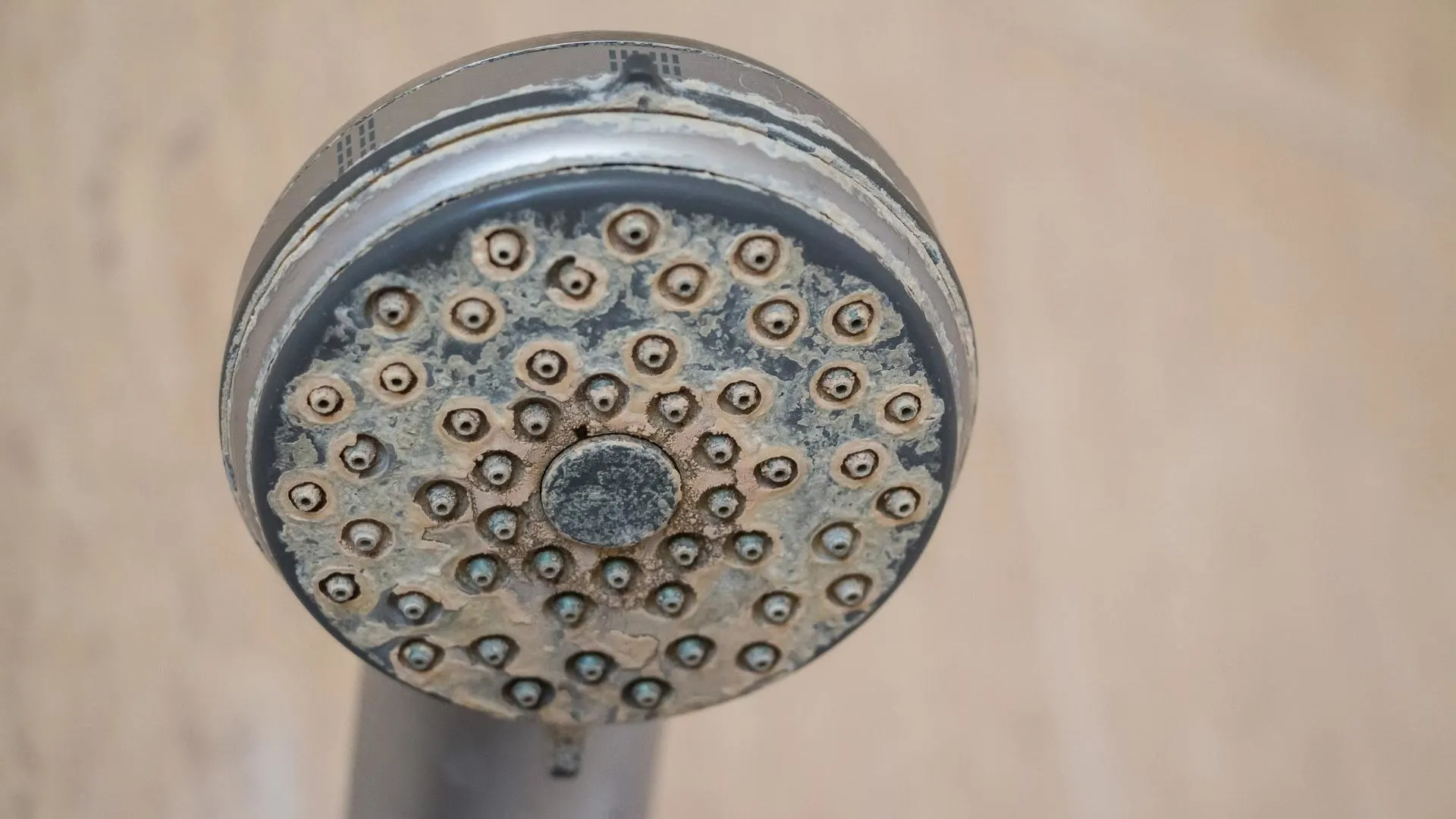 Photo of mineral deposits built up on a shower head causing rv shower head to be clogged