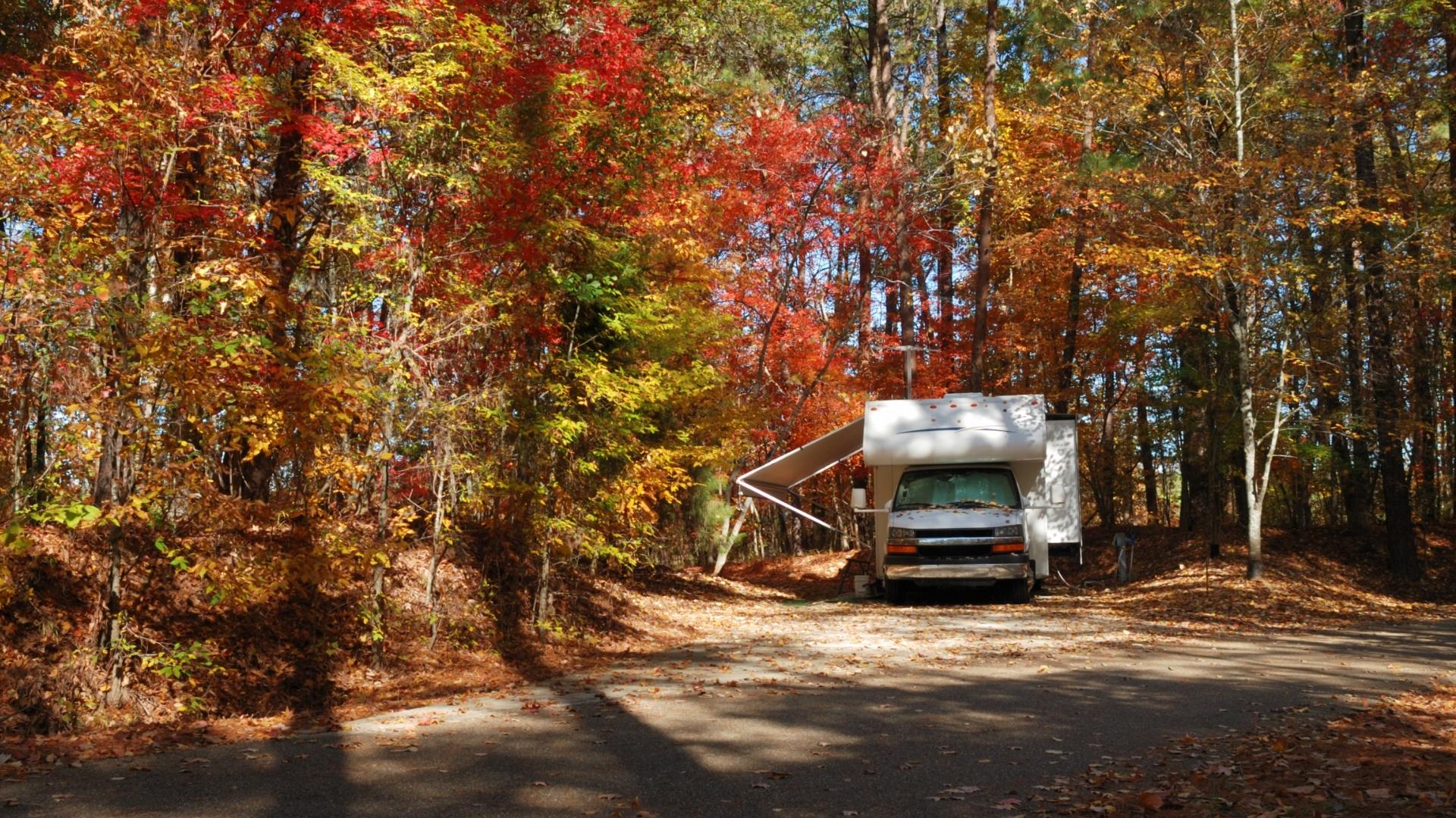 Photo of an RV parked under tree coverage