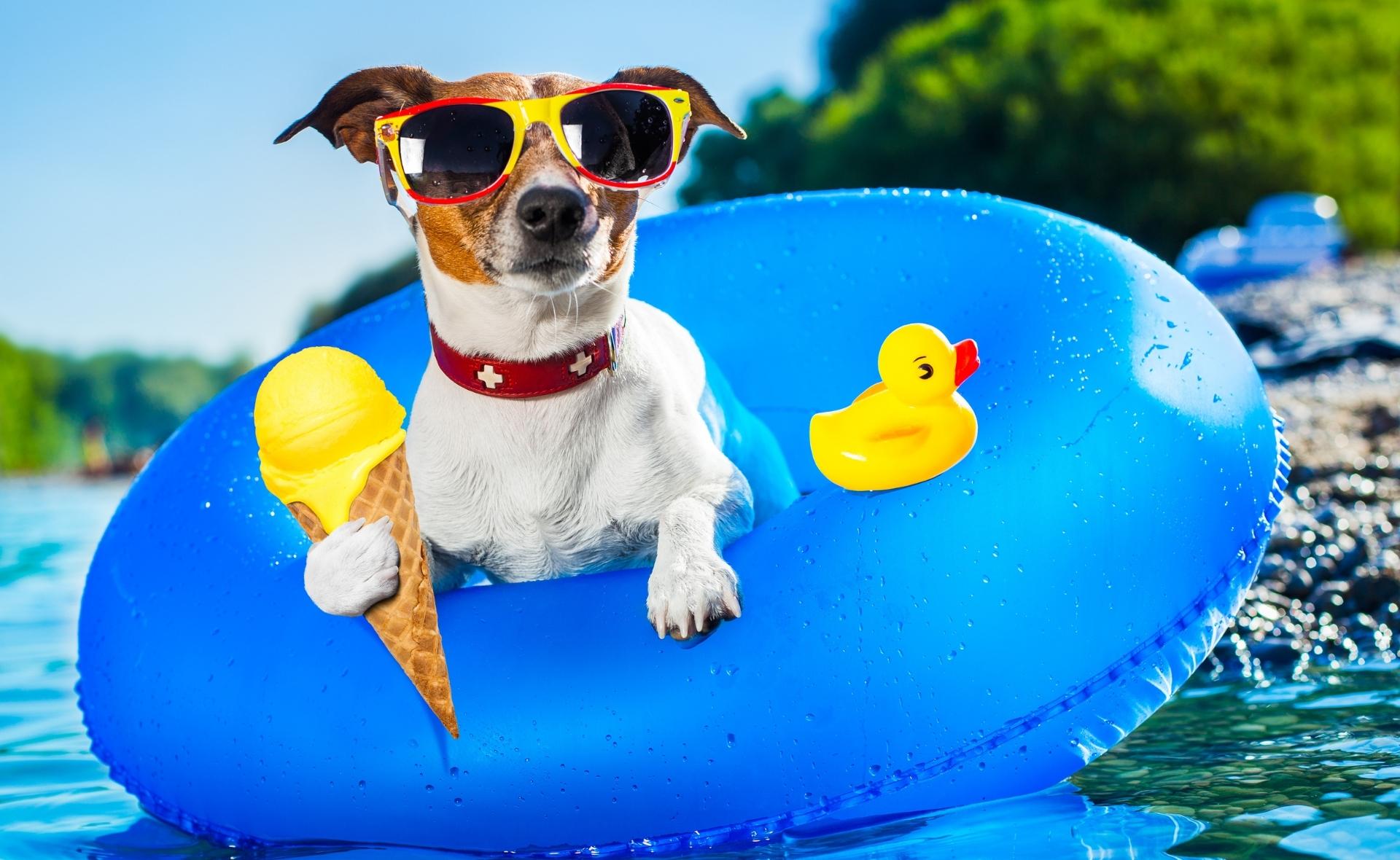 11 Tips for How to Keep Your RV Cool in Summer