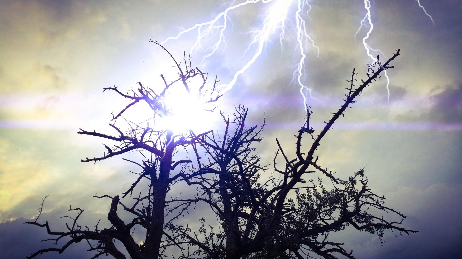 Photo of lightning striking trees. How safe is an rv in a lightning storm?