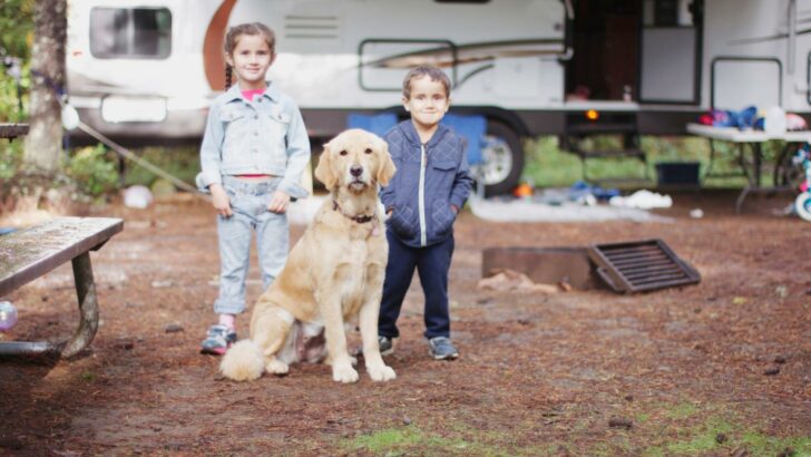 Photo of a Golden Retriever sitting between two children at a campsite with an RV in the background