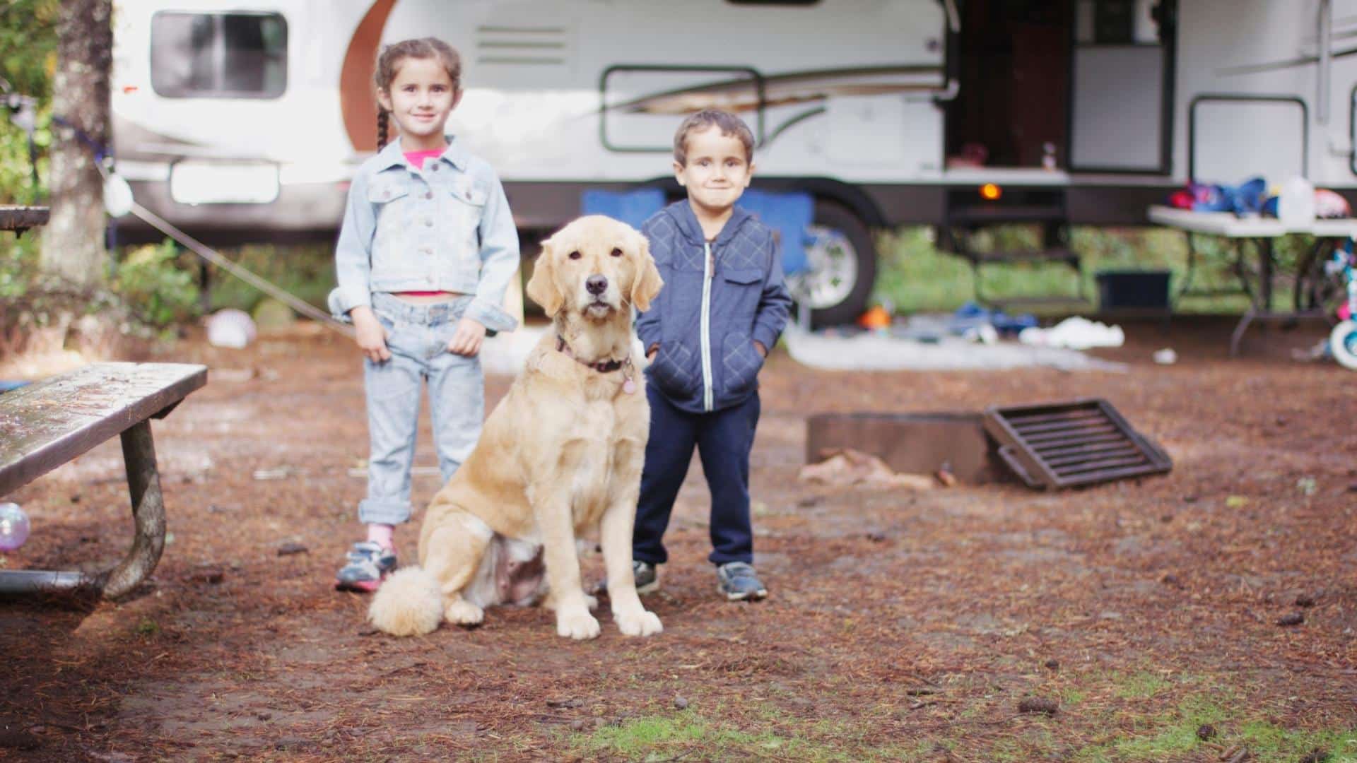 Get an RV Pet Fence & Bring Fido Along on the RV!