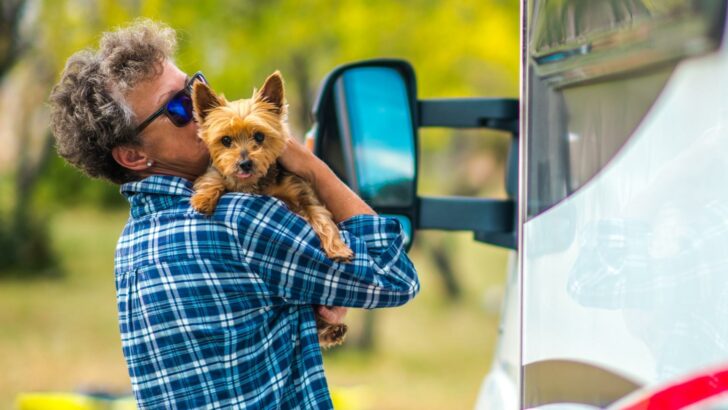 Get an RV Pet Fence and Bring Fido Along for the Ride!