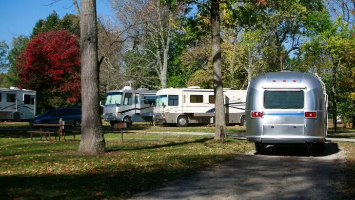 Photo of several big rig RVs in one area of a campground