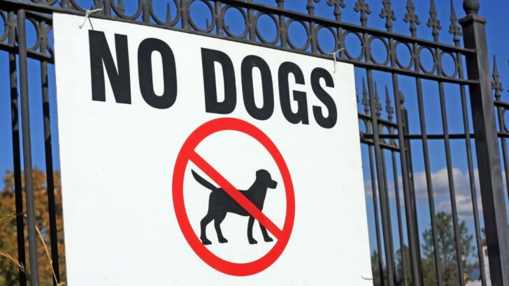 Signs like this one indicating "no dogs allowed" are found in many locations