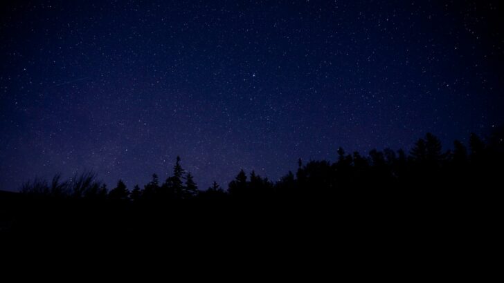 A photo of the clear night sky full of stars over Acadia National Park