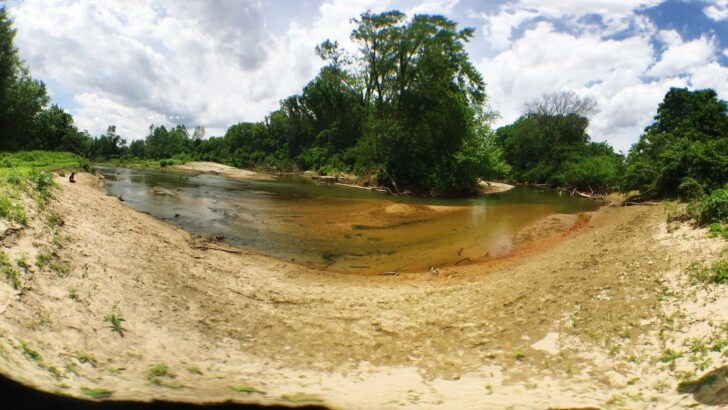 A distorted "fisheye" angle view of a pond and trees