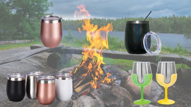 9 Best Wine Tumblers for (Adult) Spill-Free RV Fun!