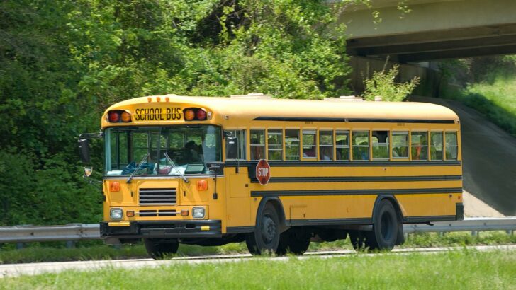 A flat-nose (transit) school bus