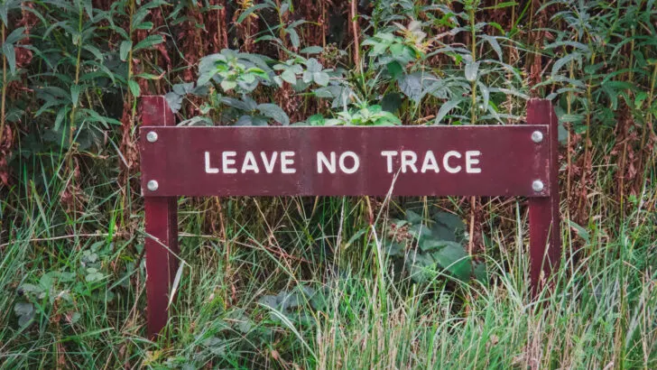 A "Leave No Trace" sign on the side of a hiking trail
