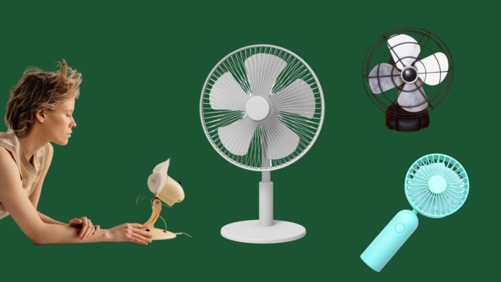 Assorted small fans appropriate for camping