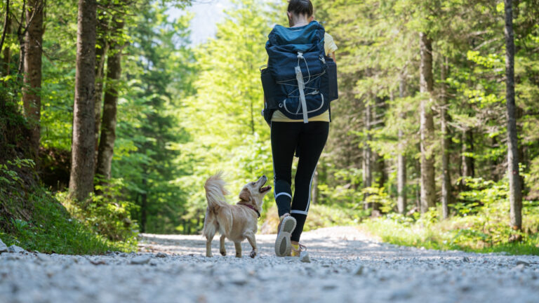 Hiking Etiquette: Rules of the Trail for All Hikers