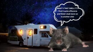 Best Mouse Repellents: Keep Pests Out of Your RV
