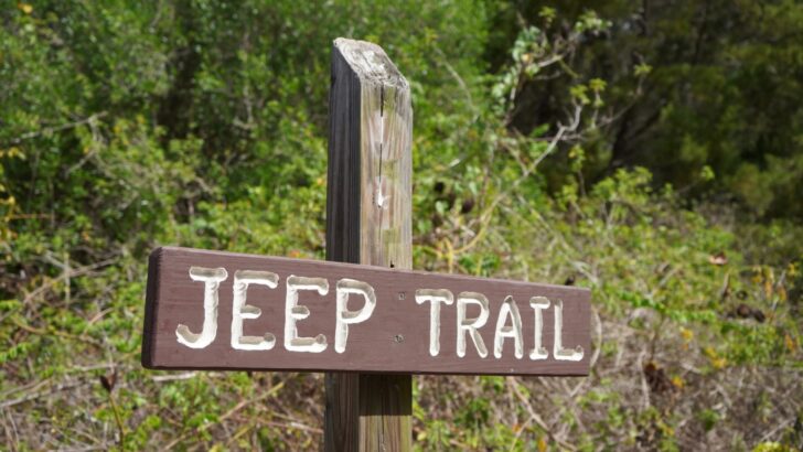 A "JEEP TRAIL" sign