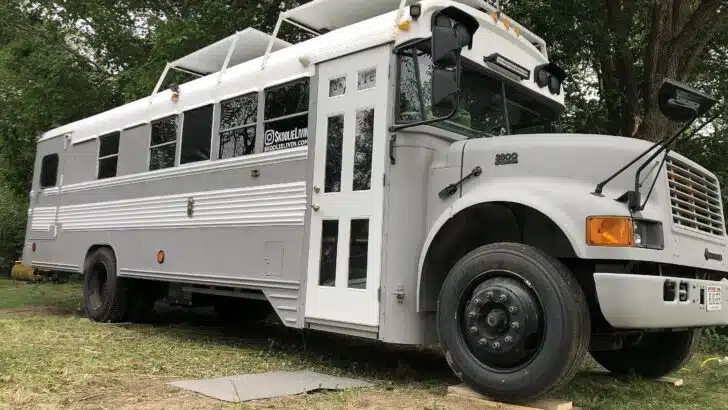 Old full-sized school buses, short buses, and even old commercial/transit buses can make great conversions.