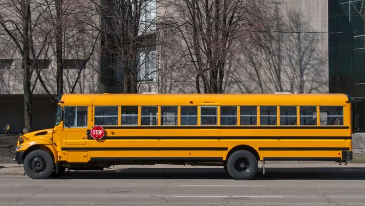 Most skoolies begin as a standard school bus