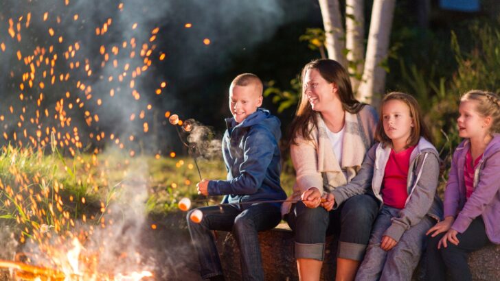 Three children and an adult around a campfire