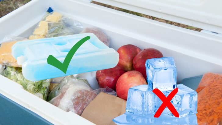 A cooler containing food with an ice pack vs ice