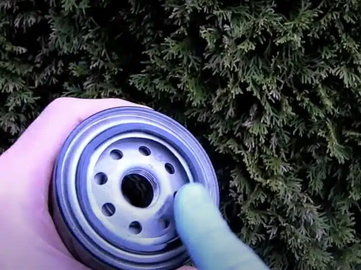 Coating the new oil filter gasket with fresh oil