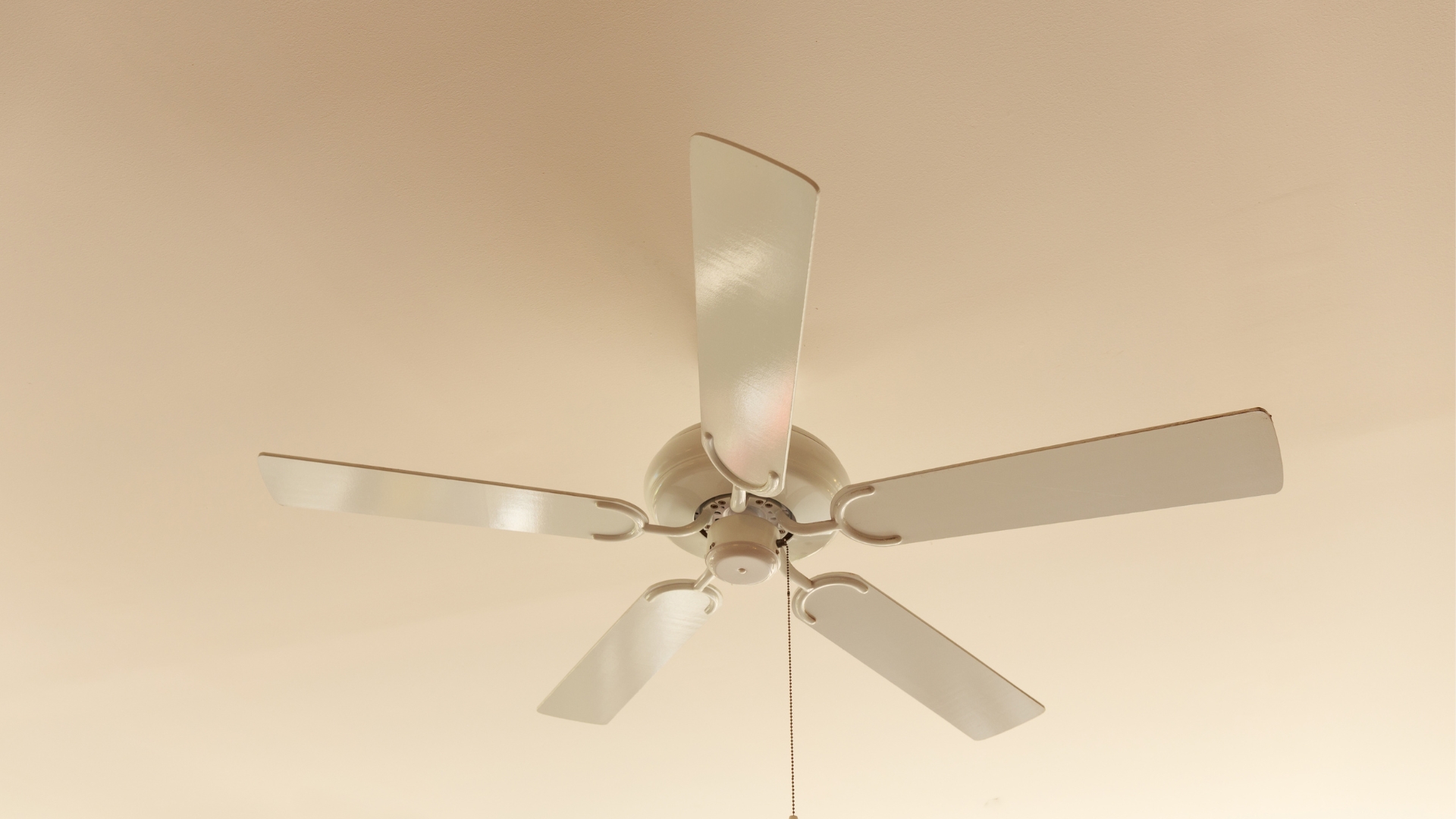 5 12v Rv Ceiling Fan Options To Stay