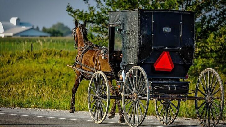 An Amish horse & buggy