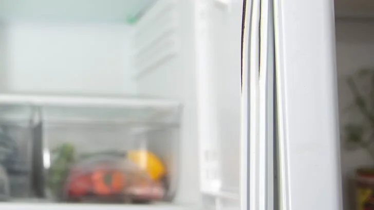 A damaged refrigerator door gasket