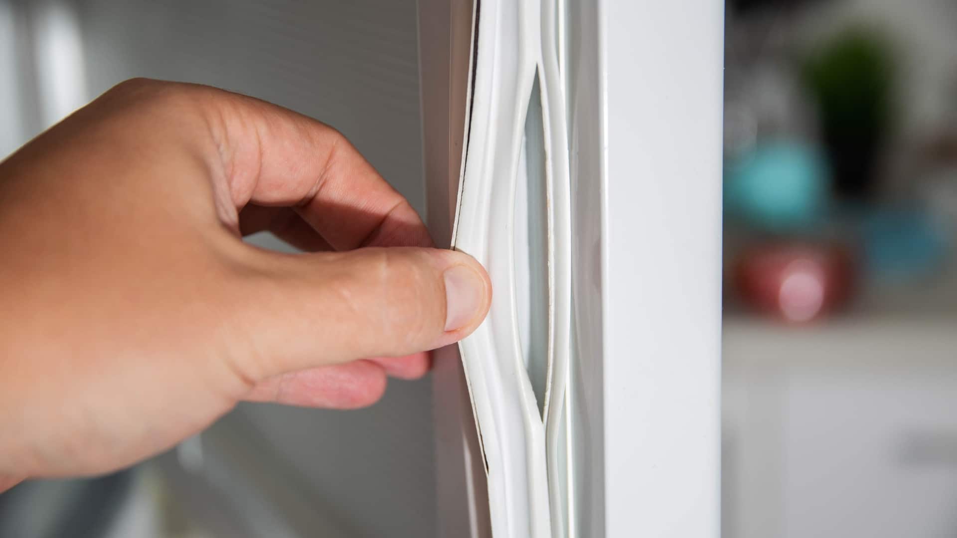 How to Test Refrigerator Door Seals In An RV & At Home