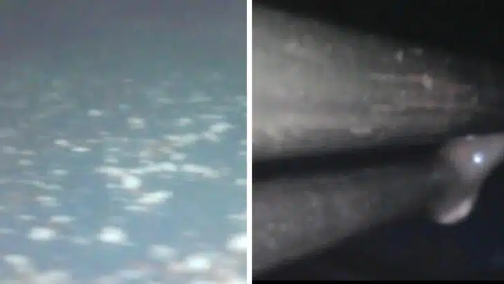 The difference in limescale on the bottom of the tank and on the heating element following the vinegar cleaning is shown