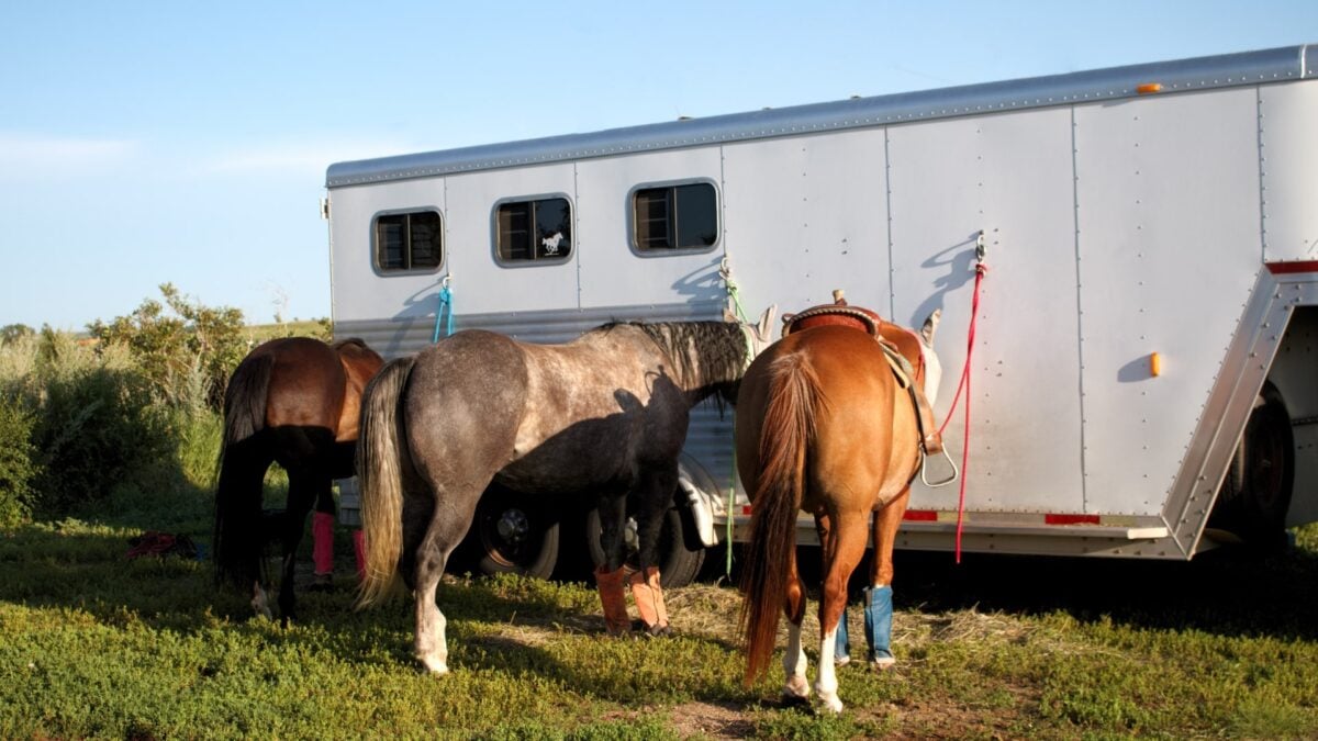 Gooseneck vs 5th Wheel Hitch Which One Tows Better?