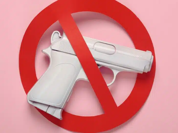 A handgun is shown inside a "prohibited" sign