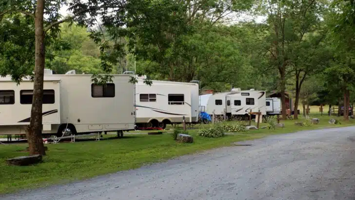 Multiple back-in RV sites